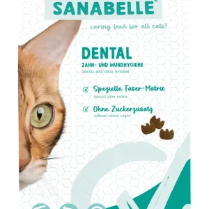 Sanabelle Dental 2 kg Top-Preis